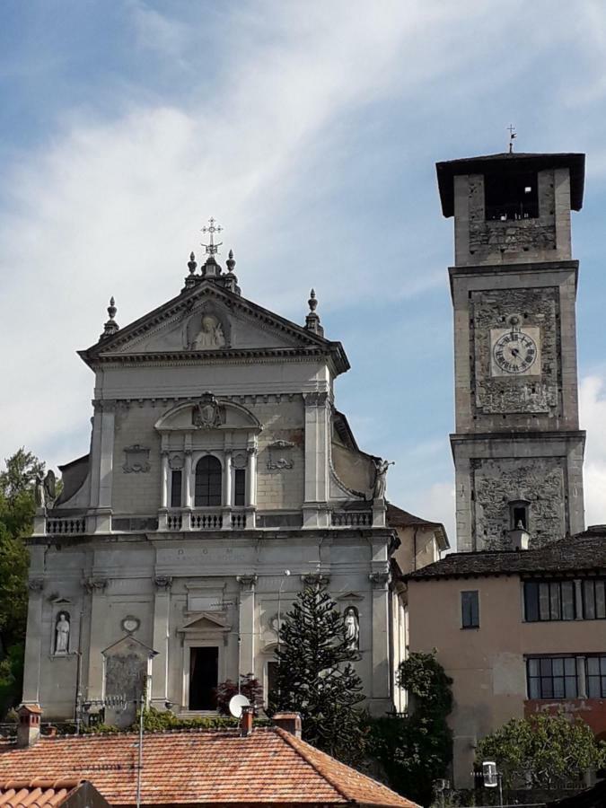Seme Di Faggio * Miasino