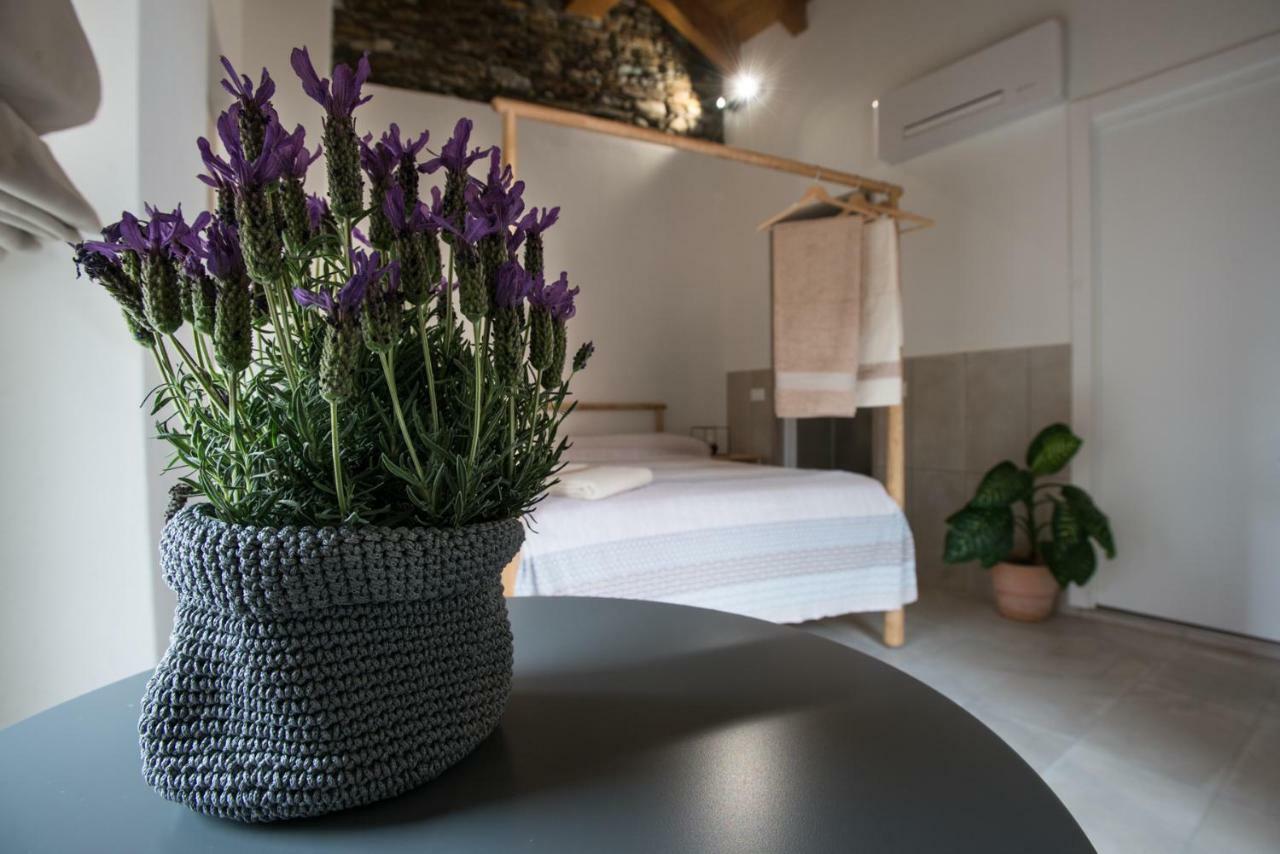 Seme Di Faggio Guest house Miasino
